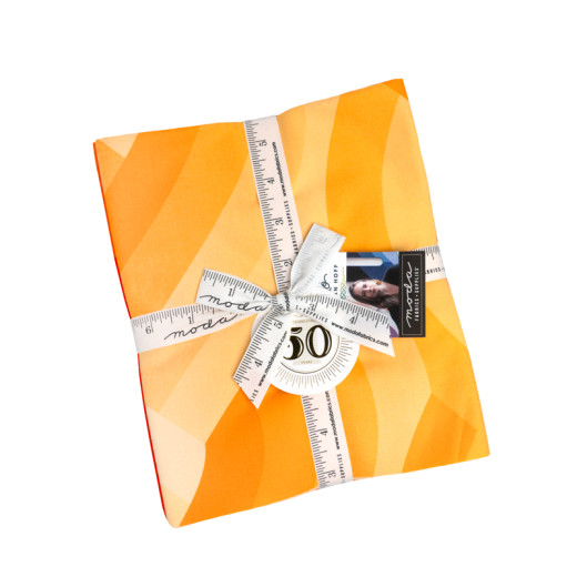 Moda Fabrics Half Yard Bundle - Echo