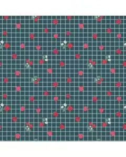 Riley Blake Baumwoll Designerstoff - Berry Market - Stargazer Gingham Berries