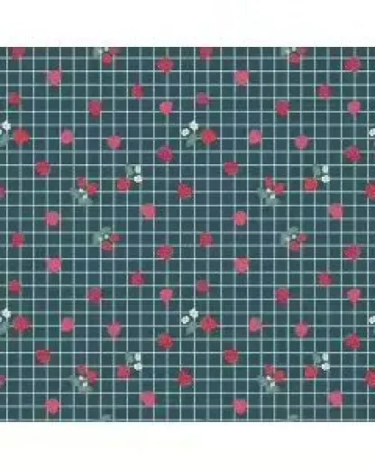 Riley Blake Baumwoll Designerstoff - Berry Market - Stargazer Gingham Berries