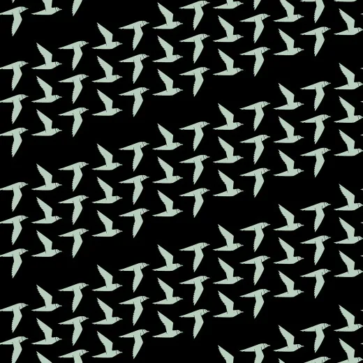 Cotton & Steel - By The Seaside II - Fly Along - Black Fabric Cotton & Steel - By The Seaside II - Fly Along - Black Fabric