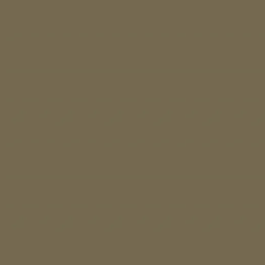 Art Gallery Fabrics - Pure Solids - Dried Moss (Wide)