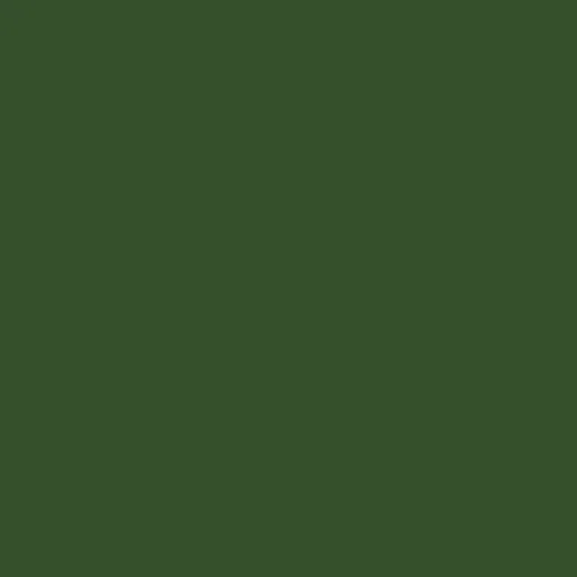 Art Gallery Fabrics - Pure Solids - Avocado (PE-599)