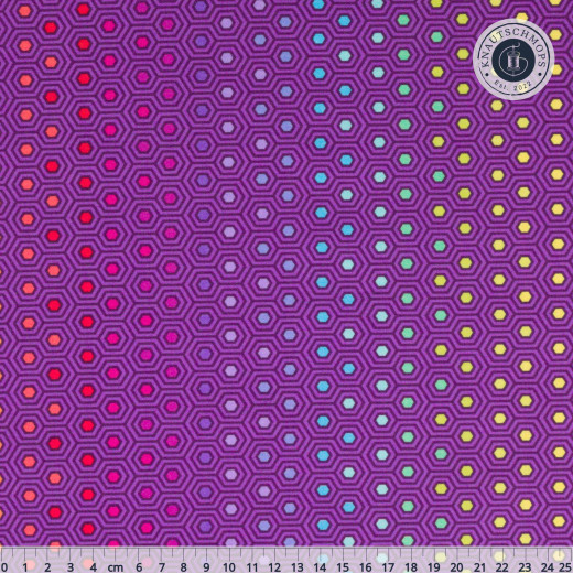 Tula Pink Baumwollstoff - True Colors - Hexy Rainbow - Starling