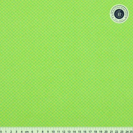 Tula Pink Baumwoll Designerstoff - True Colors - On the Grid - Apple
