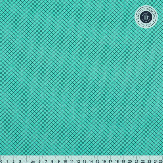 Tula Pink Baumwoll Designerstoff - True Colors - On the Grid - Raindrop
