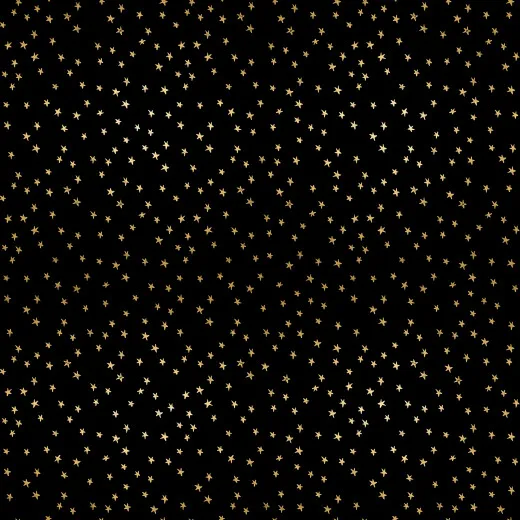 Ruby Star Society - Blenders Star Nature Novelty Fun - Mini Starry - Black Gold