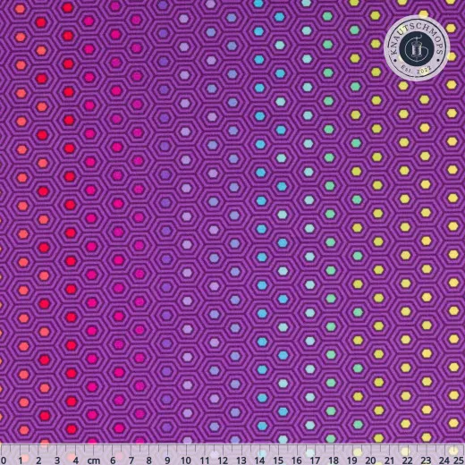Nahaufnahme des True-Colors-Stoffs „Hexy Rainbow" in Starling mit bunten Punkten in Sechseck-Rahmen auf violettem Fond, mit Zentimetermaß.