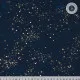 Canvas - Ruby Star Society Speckled - Metallic Navy