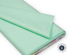 KONA Cotton Color of the year 2024 by Robert Kaufman - Julep (47cm-Rest)