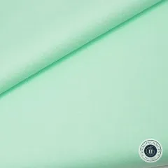 KONA Cotton Color of the year 2024 by Robert Kaufman - Julep