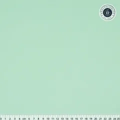 KONA Cotton Color of the year 2024 by Robert Kaufman - Julep