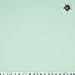 KONA Cotton Color of the year 2024 by Robert Kaufman - Julep