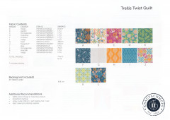 Trellis Twist (Enchanted Valori Wells) Quilt Kit