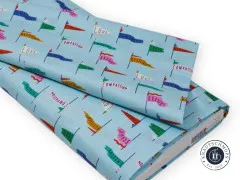 Cloud 9 Fabrics - Universal Love - Pennant Power - Light Blue