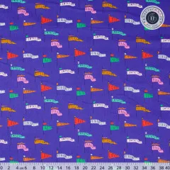 Cloud 9 Fabrics - Universal Love - Pennant Power - Blue