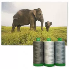 Aurifil 40wt Cotton Color Builder - Sumatran Elephant