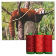 Aurifil 40wt Cotton Color Builder - Red Panda