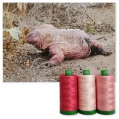 Aurifil 40wt Cotton Color Builder - Pink Land Iguana