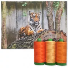 Aurifil 40wt Cotton Color Builder - Sumatran Tiger