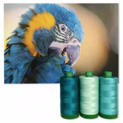 Aurifil 40wt Cotton Color Builder - Blue-throated Macaw