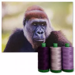 Aurifil 40wt Cotton Color Builder - Cross River Gorilla