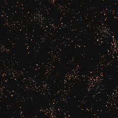 Ruby Star Society Speckled - Black