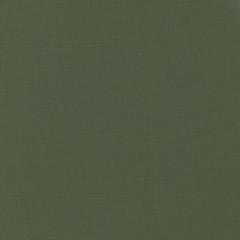 Moda Bella Solids - Kansas Green (149)