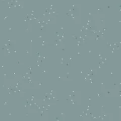 Art Gallery Fabrics - Adventale - Twinkle little Stars Sky