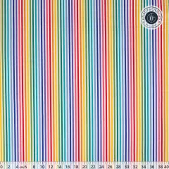 Riley Blake Baumwoll Designerstoff - 1/8 Stripe - Rainbow