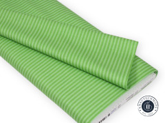 Riley Blake Baumwoll Designerstoff - 1/8" Tonal Stripe - Green