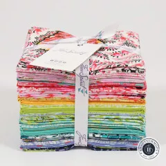 Tula Pink - Fat Quarter Set - Besties