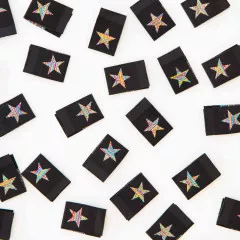 Sarah Hearts Label - Metallic Rainbow Star