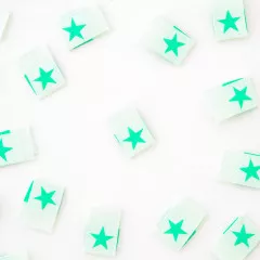 Sarah Hearts Label - mint Star