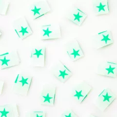 Sarah Hearts Label - mint Star