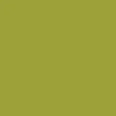 Art Gallery Fabrics - Pure Solids - Parrot