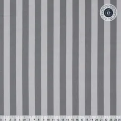 Tula Pink Baumwoll Designerstoff - True Color Graywork - Tent Stripe - Fog