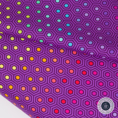Tula Pink Baumwollstoff - True Colors - Hexy Rainbow - Starling Tula Pink Baumwollstoff - True Colors - Hexy Rainbow - Starling