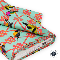 Tula Pink Baumwoll Designerstoff - Moon Garden In a Finch - Dawn (105cm-Rest)