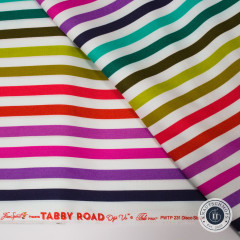 Tula Pink Baumwoll Designerstoff - Tabby Road Déjà Vu - Disco Stripe - Prism