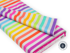 Tula Pink Baumwoll Designerstoff - True Color Graywork - Disco Stripe - Whisper (60cm-Rest)