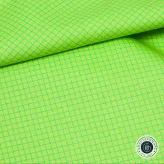 Tula Pink Baumwoll Designerstoff - True Colors - On the Grid - Apple