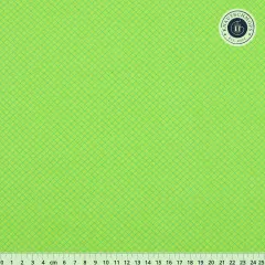 Tula Pink Baumwoll Designerstoff - True Colors - On the Grid - Apple Tula Pink Baumwoll Designerstoff - True Colors - On the Grid - Apple
