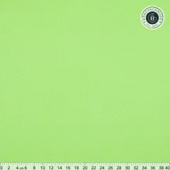 Tula Pink Baumwoll Designerstoff - True Colors - On the Grid - Apple