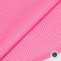 Tula Pink Baumwoll Designerstoff - True Colors - On the Grid - Bubblegum Tula Pink Baumwoll Designerstoff - True Colors - On the Grid - Bubblegum