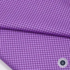 Tula Pink Baumwoll Designerstoff - True Colors - On the Grid - Mysterious