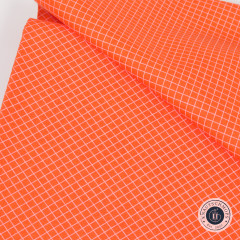 Tula Pink Baumwoll Designerstoff - True Colors - On the Grid - Salmon Tula Pink Baumwoll Designerstoff - True Colors - On the Grid - Salmon