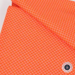 Tula Pink Baumwoll Designerstoff - True Colors - On the Grid - Salmon