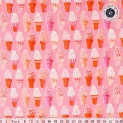 Ruby Star Society - Best Day Ever - Ice Cream Novelty Kitsch Retro Vintage - Metallic Posy