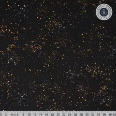 Canvas - Ruby Star Society Speckled - Metallic Black