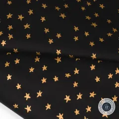 Ruby Star Society - Blenders Star Nature Novelty Fun - Starry - Metallic Black Gold